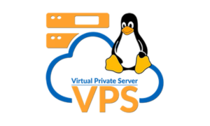 vps (1)